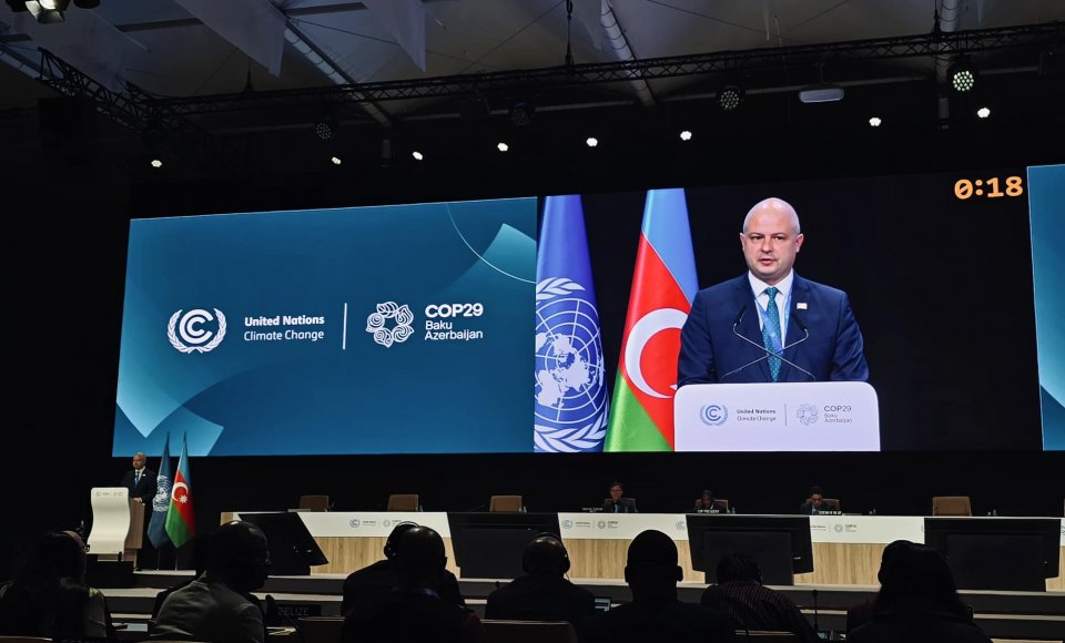 Lithuania Pledges 70% Greenhouse Gas Reduction at UN Climate Conference